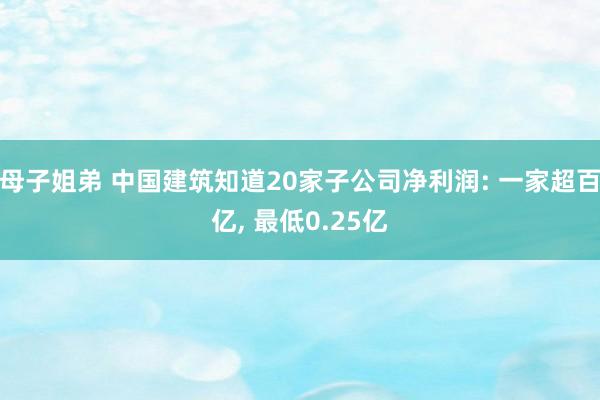 母子姐弟 中国建筑知道20家子公司净利润: 一家超百亿， 最低0.25亿