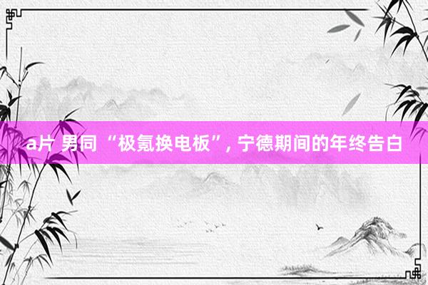 a片 男同 “极氪换电板”， 宁德期间的年终告白
