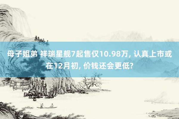 母子姐弟 祥瑞星舰7起售仅10.98万， 认真上市或在12月初， 价钱还会更低?