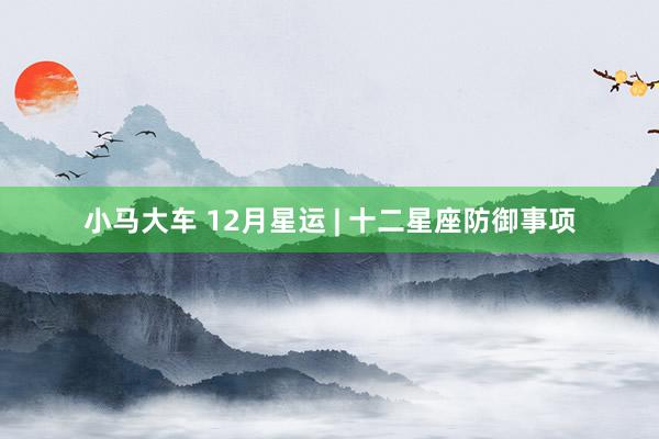小马大车 12月星运 | 十二星座防御事项