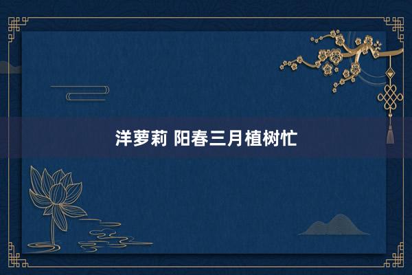 洋萝莉 阳春三月植树忙