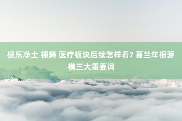 极乐净土 裸舞 医疗板块后续怎样看? 葛兰年报骄横三大重要词