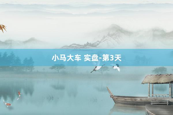 小马大车 实盘-第3天