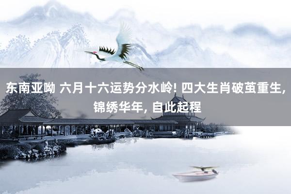 东南亚呦 六月十六运势分水岭! 四大生肖破茧重生， 锦绣华年， 自此起程
